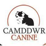 Camddwr Canine Voucher codes